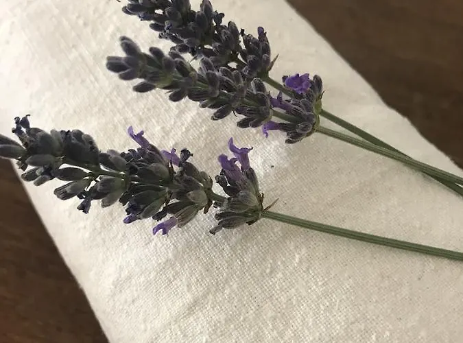 Convento Di San Colombo 3*